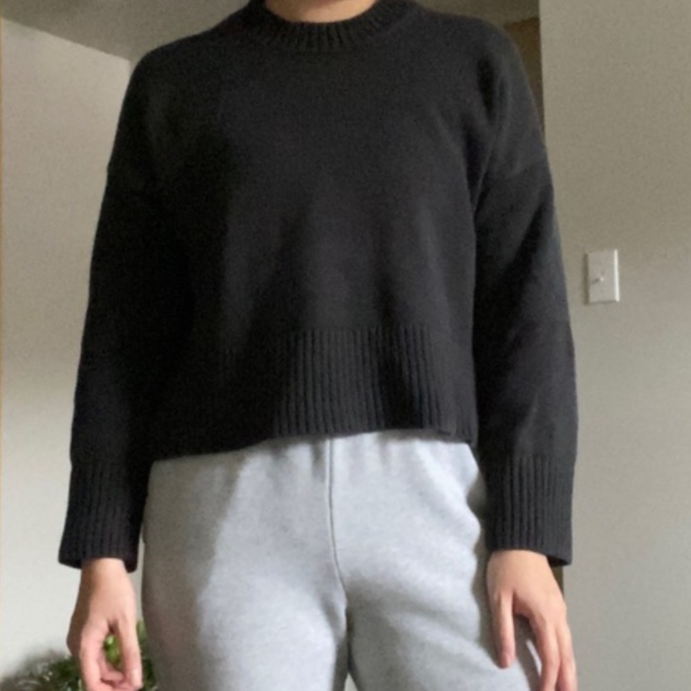 Everlane Cotton Knit Sweater